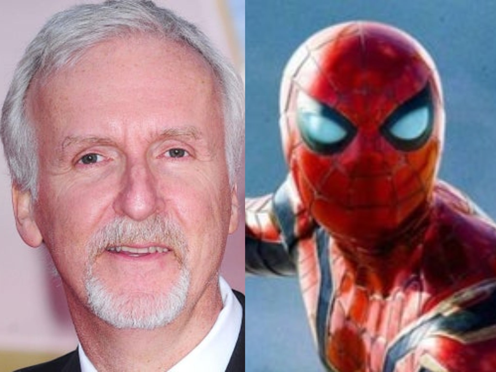 James on sale cameron spiderman